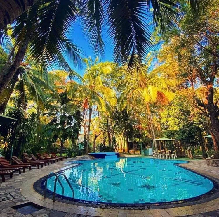 Hotel Eden garden