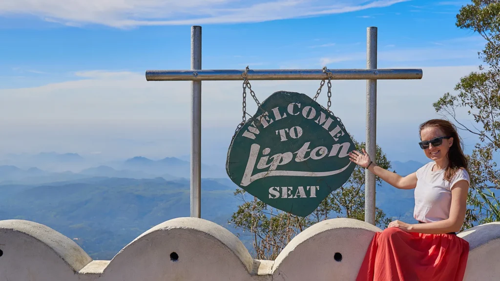 Lipton's Seat