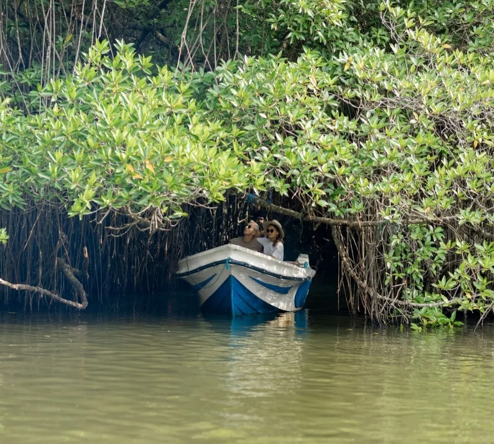 Bentota